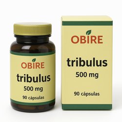 Jengibre Fito Premium 5050 mg 30 Cápsulas - Pinisan Pinisan