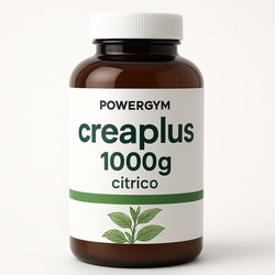 Carbon Vegetal Activado 300 Mg 60 Capsulas Obire