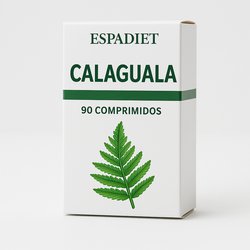 Floradix 250 Ml Salus - Soria Natural Soria Natural