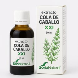 Pack 3x2 Extracto Damiana...