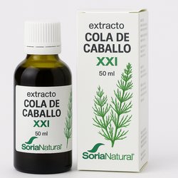 Pack 3x2 Taurina Plus 950...