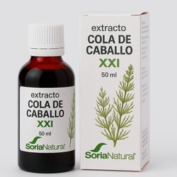 Bebida Arroz Bio 1 Litro Ecosana