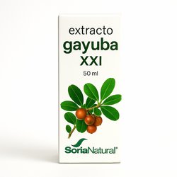 Mermelada Extra Arándanos Bio 260 gr Ecosana Ecosana