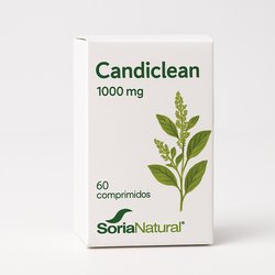 Collmar Magnesio Curcuma Vainilla 300g - Drasanvi Drasanvi
