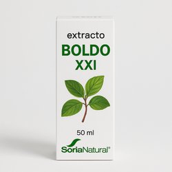 Champú Rosa Mosqueta Ecocert BIO 250 ml