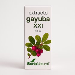 Aceite Argan Ecocert Bio 50 Ml Drasanvi