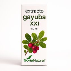 Verde de Cebada 630 mg 240...