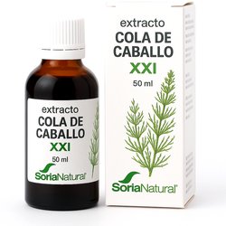 Colágeno Hidrolizado 300 g - Pinisan Pinisan