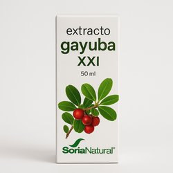 Cartilsamina 40 Capsulas Pinisan